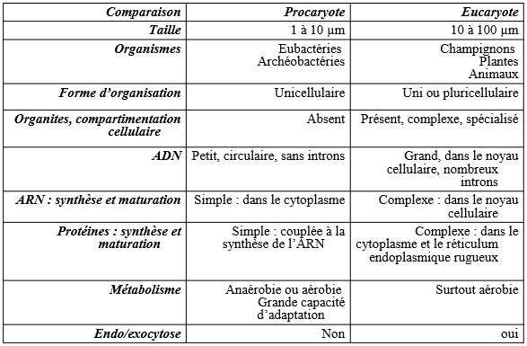 Comparaison des cellules eucaryotes et procaryotes