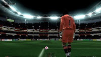 fifa 2009