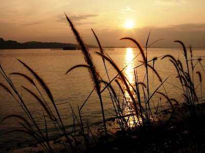 Nature wallpaper Sunset Rye Shoreline