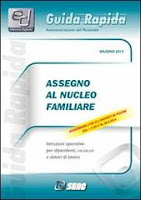 Assegno al Nucleo Familiare. E-book