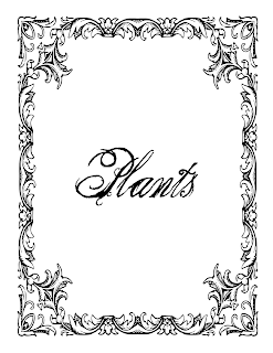 Plants Book of Shadows Free Printable Download