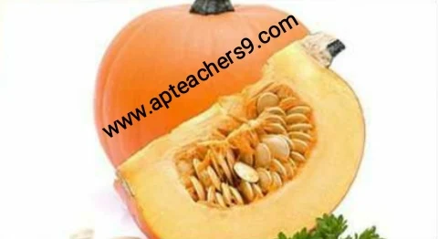 There are many benefits of pumpkin : గుమ్మడికాయ వల్ల ఎన్నో ప్రయోజనాలు 2022@APTeachers  pumpkin benefits side effects green pumpkin benefits pumpkin seeds benefits for female is pumpkin good for digestion pumpkin benefits for skin is pumpkin good for weight loss how to eat pumpkin benefits of pumpkin soup green peas benefits green peas side effects yellow matar benefits dry matar benefits white matar benefits green peas protein green peas contains benefits of matar in hindi list foods to avoid kidney stones how to dissolve kidney stones list of foods that cause kidney stones how to avoid kidney stones kidney stone diet chart supplements to prevent kidney stones vegetables to avoid for kidney stones what causes kidney stones best time to drink fruit juice in a day best time to drink juice for weight loss best time to drink mosambi juice when is the best time to juice morning or night best time to drink juice for glowing skin best time to drink juice for weight gain best time to drink orange juice in a day what is the best time to drink vegetable juice why does my bottom lip split in the middle dry lips vitamin deficiency cracked lips causes can chapped lips be a sign of something serious chapped lips meaning dry cracked lips that won't heal why are my lips so dry even when i drink water how to cure chapped lips fast winter foods list vegetables to eat in winter in india top 10 winter foods what to eat in winter to keep warm best food to eat in winter in india fruits to avoid in winter avoid food in winter season what we eat and drink in winter season how to protect child from cold weather how to keep your family healthy during winter 5 ways to stay safe in the snow winter health tips for students what to do with baby on cold day safety tips for winter season winter safety tips 2021 wintercare for kids disadvantages of matka water earthen pot water side effects drinking water from clay pot benefits benefits of matka water benefits of matka water for skin how earthen pots help in purifying water how to clean clay pots for drinking water clay pot water ph level how to cure gerd permanently high stomach acid symptoms gerd foods to avoid what fruit is good for acid reflux foods that reduce stomach acid how to get rid of acid reflux in throat fast what to drink for acid reflux 7-day acid reflux diet pdf focal hyperhidrosis how to stop excessive sweating all over body naturally how to stop sweating on face how i cured my hyperhidrosis how to stop sweating underarms naturally how to stop underarm sweating permanently what is excessive sweating a sign of products to stop armpit sweating what comes out during a colon cleanse how to clean out bowels quickly 1 day colon cleanse overnight colon cleanse colon cleanse weight loss results best colon cleanse drink how often should you cleanse your colon colon cleanse pills is taking a bath late at night dangerous late night shower can cause death advantages and disadvantages of taking a bath at night benefits of showering at night vs morning taking a bath at night can cause anemia benefits of showering in the morning can taking a shower at night cause a stroke does taking a bath at night lowers blood pressure what foods help repair kidneys how can i improve my kidney function naturally how to keep kidneys healthy foods to avoid for kidney health healthy kidneys signs how to check your kidney health at home best exercise for kidney health can kidneys heal side effects of drinking cold water disadvantages of drinking cold water in the morning does drinking cold water increase weight effect of cold water on male is cold water bad for your kidneys drinking cold water in the morning on an empty stomach is drinking cold water bad for your heart effect of cold water on bones how to make fenugreek water fenugreek water for hair fenugreek seeds soaked in water overnight side effects how to drink fenugreek water fenugreek water for weight loss fenugreek water side effects fenugreek water for periods boiled fenugreek water benefits  hair loss treatment which vitamin deficiency causes hair loss hair loss causes best hair loss treatment female hair loss treatment reason of hair fall in female hair loss women hair fall reasons in male mediterranean diet recipes mediterranean diet food list mediterranean diet 7-day meal plan pdf mediterranean diet weight loss how to start mediterranean diet mediterranean diet breakfast mediterranean diet pdf mediterranean diet for men black rice benefits black rice in india black rice side effects black rice price black rice recipe black rice near me black rice calories black rice protein organ donation time limit after death organ donation registration organ donation registration india 3 reasons why organ donation is important organ donation india how to donate organs after death organ donation rules reasons why you shouldn't be an organ donor Keto diet plan free PDF 7-day keto meal plan pdf Keto diet plan Indian Women's keto diet plan free Keto food list Female keto diet plan PDF 30 day ketogenic diet plan pdf free Keto diet plan for beginners Epileptic seizure Epilepsy attack Epilepsy definition Can epilepsy be cured Types of epilepsy Epilepsy cause Types of epilepsy and symptoms Fits disease what is the most important vitamin for your body daily intake of vitamins and minerals chart types of vitamins and their functions what vitamins do i need daily what are vitamins what are the 13 types of vitamins essential vitamins and minerals what are essential vitamins how to use a cooler as a fridge can we use air cooler without water how to use air cooler with water how to use air cooler in closed room how to use air cooler effectively uses of air cooler air cooler hacks how to use air cooler with ice how long is water safe in plastic bottles? Side effects of drinking water in plastic bottles which plastic bottles are safe for drinking water? Harmful effects of plastic water bottles on humans How to avoid drinking water from plastic bottles Plastic bottle poisoning symptoms How many times can you reuse a plastic water bottle Why you should not reuse plastic water bottles benefits of squeezing lemon on food what happens when you drink lemon water for 7 days disadvantages of drinking lemon water daily side effects of lemon for female what are the benefits of drinking lemon water benefits of lemon lemon side effects lemon benefits and side effects coconut water benefits for female benefits of drinking coconut water daily coconut water side effects drinking coconut water for 7 days benefits of coconut water for skin what happens if i drink coconut water everyday benefits of drinking coconut water empty stomach Disadvantages of storing water in copper vessel How much copper water to drink per day Copper water bottle poisoning Copper water benefits for skin whitening Pros and cons of drinking copper water Benefits of copper water Copper water Bottle Benefits of copper water Ayurveda 10 reasons to wake up in the morning 10 benefits of early rising what is the best time to wake up early in the morning why should we wake up early in the morning benefits of waking up early in the morning essay benefits of waking up before sunrise disadvantages of waking up early scientific benefits of waking up early fermented rice side effects pazhankanji side effects is fermented rice water acidic or alkaline fermented rice for weight gain fermented rice benefits benefits of eating rice in the morning fermented rice with curd benefits fermented rice for acid reflux taati munjalu in english taati munjalu season ice apple benefits taati munjalu near me taati munjalu during pregnancy taati munjalu in hindi taati munjalu in telugu ice apple benefits and side effects how to lose weight in 7 days fastest way to lose weight for woman how to lose weight naturally how to lose weight fast weight loss tips extreme weight loss methods weight loss tips at home how to lose weight in a week skin care tips in summer at home summer night skin care routine top 10 skin care tips for summer summer skin care routine summer skin care routine for teenage girl skin care tips for summer in india summer skin care products how to take care of oily skin in summer naturally why do mosquitoes bite me and not my husband how to be less attractive to mosquitoes mosquitoes don't bite cancer why do mosquitoes like type o blood why do i get so many mosquito bites on my legs are mosquitoes attracted to carbon dioxide why are mosquitoes attracted to me why do mosquitoes bite ankles pumpkin benefits side effects benefits of pumpkin soup is pumpkin good for digestion pumpkin benefits for skin benefits of green pumpkin is pumpkin good for weight loss pumpkin seeds benefits for female how to eat pumpkin benefits of sugarcane sexually sugarcane juice benefits for female sugarcane juice benefits and disadvantages benefits of sugarcane juice sugarcane juice is heat or cold for body benefits of sugarcane to woman sugarcane juice disadvantages benefits of sugarcane juice for weight loss side effects of tea on bones is green tea harmful for bones what kind of tea is good for osteoporosis is black tea good for bones tea and calcium absorption tea and osteoporosis is ginger tea good for osteoporosis green tea and calcium absorption spiritual benefits of walking barefoot 5 health benefits of walking barefoot benefits of walking barefoot on earth disadvantages of walking barefoot benefits of walking barefoot at home walking barefoot meaning benefits of walking barefoot on grass in the morning effects of walking barefoot on cold floor why hot food items should not be packed in polythene bags effects of eating high temperature food hot food in polythene bags 2 ways to never cool food hot food in plastic bags can cause cancer what happens if you drink hot and cold at the same time proper cooling methods for food what are three safe methods for cooling food? benefits of eating porridge everyday porridge benefits for skin benefits of eating porridge in the morning i ate oatmeal every morning for a month-here's what happened disadvantages of eating oats benefits of porridge for weight loss benefits of oats with milk benefits of eating porridge at night is taking a bath late at night dangerous bathing at night benefits taking a bath at night can cause anemia late night shower can cause death best time to bath at night advantages and disadvantages of taking a bath at night benefits of warm bath at night taking a bath at night is not good for your health brainly describe how we can keep ourselves fit and healthy simple health tips 10 tips for good health 100 health tips natural health tips health tips for adults health tips 2021 health tips of the day simple health tips for everyday living healthy tips simple health tips for students 100 simple health tips healthy lifestyle tips health tip of the week simple health tips for everyone simple health tips for everyday living 10 tips for a healthy lifestyle pdf 20 ways to stay healthy 5-minute health tips 100 health tips in hindi simple health tips for everyone 100 health tips pdf 100 health tips in tamil 5 tips to improve health natural health tips for weight loss natural health tips in hindi simple health tips for everyday living 100 health tips in hindi health in hindi daily health tips 10 tips for good health how to keep healthy body 20 health tips for 2021 health tips 2022 mental health tips 2021 heart health tips 2021 health and wellness tips 2021 health tips of the day for students fun health tips of the day mental health tips of the day healthy lifestyle tips for students health tips for women simple health tips 10 tips for good health 100 health tips healthy tips in hindi natural health tips health tips for students simple health tips for everyday living health tip of the week healthy tips for school students health tips for primary school students health tips for students pdf daily health tips for school students health tips for students during online classes mental health tips for students simple health tips for everyone health tips for covid-19 healthy lifestyle tips for students 10 tips for a healthy lifestyle healthy lifestyle facts healthy tips 10 tips for good health simple health tips health tips 2021 health tips natural health tips 100 health tips health tips for students simple health tips for everyday living 6 basic rules for good health 10 ways to keep your body healthy health tips for students simple health tips for everyone 5 steps to a healthy lifestyle maintaining a healthy lifestyle healthy lifestyle guidelines includes simple health tips for everyday living healthy lifestyle tips for students healthy lifestyle examples 10 ways to stay healthy 100 health tips 5 ways to stay healthy 10 ways to stay healthy and fit simple health tips simple health tips for everyday living health tips for students health tips in hindi beauty tips health tips for women health tips bangla health tips for young ladies 10 best health tips female reproductive health tips women's day health tips health tips in kannada women's health tips for heart, mind and body women's health tips for losing weight healthy woman body beauty tips at home beauty tips natural beauty tips for face beauty tips for girls beauty tips for skin beauty tips of the day top 10 beauty tips beauty tips hindi health tips for school students health tips for students during exams five ways of maintaining good health 10 ways to stay healthy at home ways to keep fit and healthy 6 tips to stay fit and healthy how to stay fit and healthy at home 20 ways to stay healthy ways to keep fit and healthy essay 5 ways to stay healthy essay 10 ways to stay healthy at home write five points to keep yourself healthy 5 ways to stay healthy during quarantine 10 tips for a healthy lifestyle healthy lifestyle essay unhealthy lifestyle examples 5 steps to a healthy lifestyle healthy lifestyle article for students talk about healthy lifestyle healthy lifestyle benefits healthy lifestyle for students in school healthy tips for school students importance of healthy lifestyle for students health tips for students during online classes health tips for students pdf health and wellness for students healthy lifestyle for students essay healthy lifestyle article for students 10 ways to stay healthy and fit ways to keep fit and healthy essay 6 tips to stay fit and healthy how to stay fit and healthy at home what are the best ways for students to stay fit and healthy how to keep body fit and strong on the basis of the picture given below,  how to be fit in 1 week write 10 rules for good health golden rules for good health health rules most important things you can do for your health how to keep your body healthy and strong five ways of maintaining good health mental health tips 2022 top 10 tips to maintain your mental health mental health tips for students self-care tips for mental health mental health 2022 fun activities to improve mental health 10 ways to prevent mental illness how to be mentally healthy and happy world heart day theme 2021 world heart day 2021 health tips news world heart day wikipedia world heart day 2020 world heart day pictures world heart day theme 2020 happy heart day 5 ways to prevent covid-19 best food for covid-19 recovery 10 ways to prevent covid-19 covid-19 health and safety protocols precautions to be taken for covid-19 covid-19 diet plan pdf safety measures after covid-19 precautions for covid-19 patient at home how to keep reproductive system healthy 10 ways in keeping the reproductive organs clean and healthy why is it important to keep your reproductive system healthy how to take care of your reproductive system male what are the proper ways of taking care of the female reproductive organs male ways of taking care of reproductive system ppt taking care of reproductive system grade 5 prevention of reproductive system diseases proper ways of taking care of the reproductive organs ways of taking care of reproductive system ppt how to take care of reproductive system male what are the proper ways of taking care of the female reproductive organs care of male and female reproductive organs? why is it important to take care of the reproductive organs the following are health habits to keep the reproductive organs healthy which one is care of male and female reproductive organs? what are the proper ways of taking care of the female reproductive organs ways of taking care of reproductive system ppt ways to take care of your reproductive system why is it important to take care of the reproductive organs taking care of reproductive system grade 5 how to take care of your reproductive system poster what are the proper ways of taking care of the female reproductive organs taking care of reproductive system grade 5 what are the proper ways of taking care of the male reproductive organs care of male and female reproductive organs? female reproductive system - ppt presentation female reproductive system ppt pdf reproductive system ppt anatomy and physiology reproductive system ppt grade 5 talk about healthy lifestyle cue card importance of healthy lifestyle importance of healthy lifestyle speech what is healthy lifestyle essay healthy lifestyle habits my healthy lifestyle healthy lifestyle essay 100 words healthy lifestyle short essay healthy lifestyle essay 150 words healthy lifestyle essay pdf benefits of a healthy lifestyle essay healthy lifestyle essay 500 words healthy lifestyle essay 250 words  precautions to be taken during winter season precautions to be taken for cold cold weather precautions for home how to stay healthy during winter season how to protect your body in winter season what things should we keep in mind to stay healthy in the winter  safety tips for winter season in india how to take care of yourself during winter seasonal diseases list seasonal diseases in india seasonal diseases and precautions seasonal diseases in telugu seasonal diseases in india pdf seasonal diseases pdf 4 seasonal diseases rainy season diseases and prevention 10 things not to do after eating i ate too much and now i want to vomit how to ease your stomach after eating too much how to digest faster after a heavy meal what to do after overeating at night how to detox after eating too much i ate too much today will i gain weight i don't feel good after i eat calcium fruits for bones fruits for bone strength how to increase bone strength naturally bone strengthening foods how to increase bone calcium best fruit juice for bones calcium-rich foods for bones vitamins for strong bones and joints black pepper uses and benefits how much black pepper per day benefits of eating black pepper empty stomach black pepper with hot water benefits side effects of black pepper benefits of black pepper and honey pepper benefits turmeric with black pepper benefits how to protect eyes from mobile screen naturally how to protect eyes from mobile screen during online classes glasses to protect eyes from mobile screen how to protect eyes from mobile and computer 5 ways to protect your eyes best eye protection mobile phone glasses to protect eyes from mobile screen flipkart how to protect eyes from computer screen can you die from eating too many almonds how many is too many almonds i eat 100 almonds a day symptoms of eating too many almonds almond skin dangers how many almonds should i eat a day why are roasted almonds bad for you how many almonds to eat per day for good skin amla for skin whitening amla for skin pigmentation how to use amla for skin can i apply amla juice on face overnight how to use amla powder for skin whitening amla face pack for pigmentation how to make amla juice for skin best amla juice for skin best n95 mask for covid n95 mask with filter n95 mask reusable best mask for covid where to buy n95 mask n95 mask price 3m n95 mask kn95 vs n95 how many dates to eat per day dates benefits sexually dates benefits for sperm benefits of dates for men benefits of khajoor for skin dates benefits for skin is dates good for cold and cough benefits of dates for womens how to cook mulberry leaves mulberry benefits mulberry leaves benefits for hair mulberry benefits for skin when to harvest mulberry leaves mulberry leaf extract benefits mulberry leaf tea benefits mulberry fruit side effects are recovered persons with persistent positive test of covid-19 infectious to others? if someone in your house has covid will you get it do i still need to quarantine for 14 days if i was around someone who has covid-19? how long will you test positive for covid after recovery what do i do if i’ve been exposed to someone who tested positive for covid-19? how long does coronavirus last in your system how long should i stay in home isolation if i have the coronavirus disease? positive covid test after recovery how to make coriander water can we drink coriander water at night how to make coriander water for weight loss coriander seed water side effects how to make coriander seeds water how to make coriander seeds water for thyroid coriander water for thyroid coriander leaves boiled water benefits 10 points on harmful effects of plastic 5 harmful effects of plastic harmful effects of plastic on environment harmful effects of plastic on environment in points how is plastic harmful to humans harmful effects of plastic on environment pdf single-use plastic effects on environment brinjal benefits and side effects disadvantages of brinjal brinjal benefits for skin brinjal benefits ayurveda brinjal benefits for diabetes uses of brinjal green brinjal benefits brinjal vitamins 10 ways to keep your heart healthy 5 ways to keep your heart healthy 13 rules for a healthy heart 20 ways to keep your heart healthy how to keep heart-healthy and strong heart-healthy foods heart-healthy lifestyle healthy heart symptoms daily massage with mustard oil mustard oil disadvantages benefits of mustard oil for skin why mustard oil is not banned in india benefits of mustard oil massage on feet benefits of mustard oil in cooking mustard oil massage benefits mustard oil benefits for brain side effects of mint leaves lungs cleaning treatment benefits of drinking mint water in morning mint leaves steam for face lungs cleaning treatment for smokers benefits of mint leaves how to use ginger for lungs how to clean lungs in 3 days Carrot juice benefits in telugu 17 benefits of mustard seed 5 uses of mustard 10 uses of mustard how much mustard should i eat a day mustard seeds side effects benefits of chewing mustard seed dijon mustard health benefits is mustard good for your stomach Benefits of Vaseline on face Vaseline on face overnight before and after Vaseline petroleum jelly for skin whitening 100 uses for Vaseline Does Blue Seal Vaseline lighten the skin Vaseline uses for skin 19 unusual uses for Vaseline Effect of petroleum jelly on lips barley pests and diseases how to use barley for diabetes diseases of barley ppt how to use barley powder barley benefits and side effects barley disease control barley diseases integrated pest management of barley how to sleep better at night naturally good sleep habits food for good sleep tips on how to sleep through the night how to get a good night sleep and wake up refreshed how to sleep fast in 5 minutes how to sleep through the night without waking up how to sleep peacefully without thinking how to use turmeric to boost immune system turmeric immune booster recipe turmeric immune booster shot raw turmeric vs powder 10 serious side effects of turmeric raw turmeric powder best time to eat raw turmeric raw turmeric benefits for liver best antibiotic for cough and cold name of antibiotics for cough and cold best medicine for cold and cough best antibiotic for cold and cough for child best tablet for cough and cold in india best cold medicine for runny nose cold and cough medicine for adults best cold and flu medicine for adults moringa leaf powder benefits what happens when you drink moringa everyday? side effects of moringa list of 300 diseases moringa cures pdf how to use moringa leaves what sickness can moringa cure how long does it take for moringa to start working can moringa cure chest pain how to use aloe vera to lose weight rubbing aloe vera on stomach how to prepare aloe vera juice for weight loss best time to drink aloe vera juice for weight loss how to use forever aloe vera gel for weight loss aloe vera juice weight loss stories how much aloe vera juice to drink daily for weight loss benefits of eating oranges everyday benefits of eating oranges for skin benefits of eating orange at night orange benefits and side effects benefits of eating orange in empty stomach orange benefits for men how many oranges a day to lose weight how many oranges should i eat a day is orthostatic hypotension dangerous orthostatic hypotension symptoms causes of orthostatic hypotension orthostatic hypotension in 20s orthostatic hypotension treatment orthostatic hypotension test how to prevent orthostatic hypotension orthostatic hypotension treatment in elderly what will happen if we drink dirty water for class 1 what are the diseases associated with water? which water is safe for drinking dangers of tap water 5 dangers of drinking bad water what happens if you drink contaminated water what to do if you drink contaminated water 5 ways to make water safe for drinking how long before bed should you turn off electronics side effects of using phone at night does screen time affect sleep in adults sleeping with phone near head why you shouldn't use your phone before bed screen time before bed research adults screen time doesn't affect sleep using phone at night bad for eyes how many tulsi leaves should be eaten in a day how to cure high blood pressure in 3 minutes tulsi leaves side effects tricks to lower blood pressure instantly what happens if we eat tulsi leaves daily high blood pressure foods to avoid what to drink to lower blood pressure quickly how to consume tulsi leaves why am i sleeping too much all of a sudden i sleep 12 hours a day what is wrong with me oversleeping symptoms causes of oversleeping how to recover from sleeping too much oversleeping effects is 9 hours of sleep too much why am i suddenly sleeping for 10 hours side effects of eating raw curry leaves how many curry leaves to eat per day benefits of curry leaves for hair curry leaves health benefits benefits of curry leaves boiled water curry leaves benefits and side effects how to eat curry leaves curry leaves benefits for uterus side effects of drinking cold water symptoms of drinking too much water does drinking cold water cause cold drinking cold water in the morning on an empty stomach does drinking cold water increase weight disadvantages of drinking cold water in the morning is drinking cold water bad for your heart effect of cold water on bones food for strong bones and muscles indian food for strong bones and muscles list five foods you can eat to build strong, healthy bones. medicine for strong bones and joints 2 factors that keep bones healthy Top 10 health benefits of dates Health benefits of dates Dry dates benefits for male Soaked dates benefits Dry dates benefits for female silver water benefits how much colloidal silver to purify water silver in water purification silver in drinking water health benefit of drinking hard water what is silver water silver ion water purifier colloidal silver poisoning how i cured my lower back pain at home how to relieve back pain fast how to cure back pain fast at home back pain home remedies drink how to cure upper back pain fast at home female lower back pain treatment what is the best medicine for lower back pain? one stretch to relieve back pain side effects of drinking salt water why is drinking salt water harmful benefits of drinking warm water with salt in the morning benefits of drinking salt water salt water flush didn't make me poop himalayan salt detox side effects when to eat after salt water flush 10 uses of salt water side effects of carbonated drinks harmful effects of soft drinks wikipedia disadvantages of soft drinks in points drinking too much pepsi symptoms drinking too much coke side effects effects of carbonated drinks on the body side effects of drinking coca-cola everyday harmful effects of soft drinks on human body pdf what happens if you don't breastfeed your baby baby feeding mother milk breastfeeding mother 14 risks of formula feeding is bottle feeding safe for newborn baby negative effects of formula feeding are formula-fed babies healthy breastfeeding vs bottle feeding breast milk what is the best cream for deep wrinkles around the mouth best anti aging cream 2021 scientifically proven anti aging products best anti aging cream for 40s what is the best wrinkle cream on the market? best anti aging cream for 30s best treatment for wrinkles on face best anti aging skin care products for 50s carbonated soft drinks market demand for soft drinks trends in carbonated soft drink industry carbonated soft drink market in india cold drink sales statistics soft drink sales 2021 soda industry market share of soft drinks in india 2021 how much tomato to eat per day 10 benefits of tomato eating tomato everyday benefits benefits of eating raw tomatoes in the morning disadvantages of eating tomatoes why are tomatoes bad for your gut eating tomato everyday for skin disadvantages of eating raw tomatoes green peas benefits for skin green peas benefits for weight loss green peas side effects green peas benefits for hair benefits of peas and carrots green peas calories green peas protein per 100g dry peas benefits benefits of walnuts for females benefits of walnuts for skin benefits of walnuts for male 15 proven health benefits of walnuts benefits of almonds how many walnuts to eat per day walnut benefits for sperm soaked walnuts benefits 5 health benefits of walking barefoot spiritual benefits of walking barefoot dangers of walking barefoot benefits of walking barefoot at home disadvantages of walking barefoot is walking barefoot at home bad benefits of walking barefoot on grass in the morning walking barefoot meaning how to cure asthma forever how to prevent asthma how to prevent asthma attacks at night asthma prevention diet what causes asthma how to stop asthmatic cough what is the best treatment for asthma how to avoid asthma triggers at home amaranth leaves side effects thotakura juice benefits thotakura benefits in telugu amaranth benefits amaranth benefits for skin amaranth benefits for hair red amaranth leaves side effects amaranth leaves iron content skin diseases list with pictures 5 ways of preventing skin diseases 10 skin diseases blood test for hair loss female symptoms of skin diseases common skin diseases hair loss after covid treatment and vitamins what do dermatologists prescribe for hair loss pomegranate benefits for female benefits of pomegranate for skin benefits of pomegranate seeds pomegranate benefits for men benefits of pomegranate juice how much pomegranate juice per day pomegranate juice side effects benefits of pomegranate leaves disadvantages of jaggery 33 health benefits of jaggery how much jaggery to eat everyday benefits of jaggery water vitamins in jaggery dark brown jaggery benefits jaggery benefits for sperm jaggery benefits for male                                                                                                                                                                                                mini oil mill project cost cooking oil manufacturing plant cost in india small oil mill plant cost in india oil mill project cost in india cooking oil manufacturing business plan pdf oil mill business profit how to start cooking oil business in india oil mill business plan in india