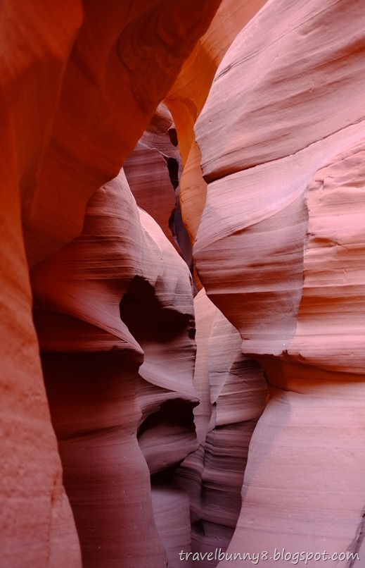 DSCF2409