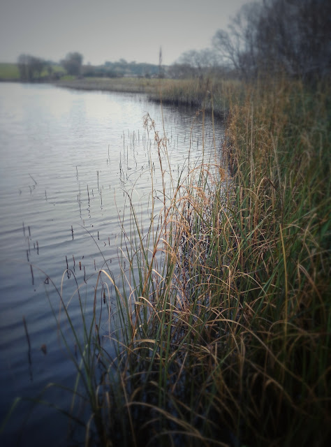 Lough Down, Moycullen