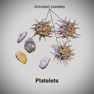 प्लेटलेट्स-Platelets-Thrombocytes