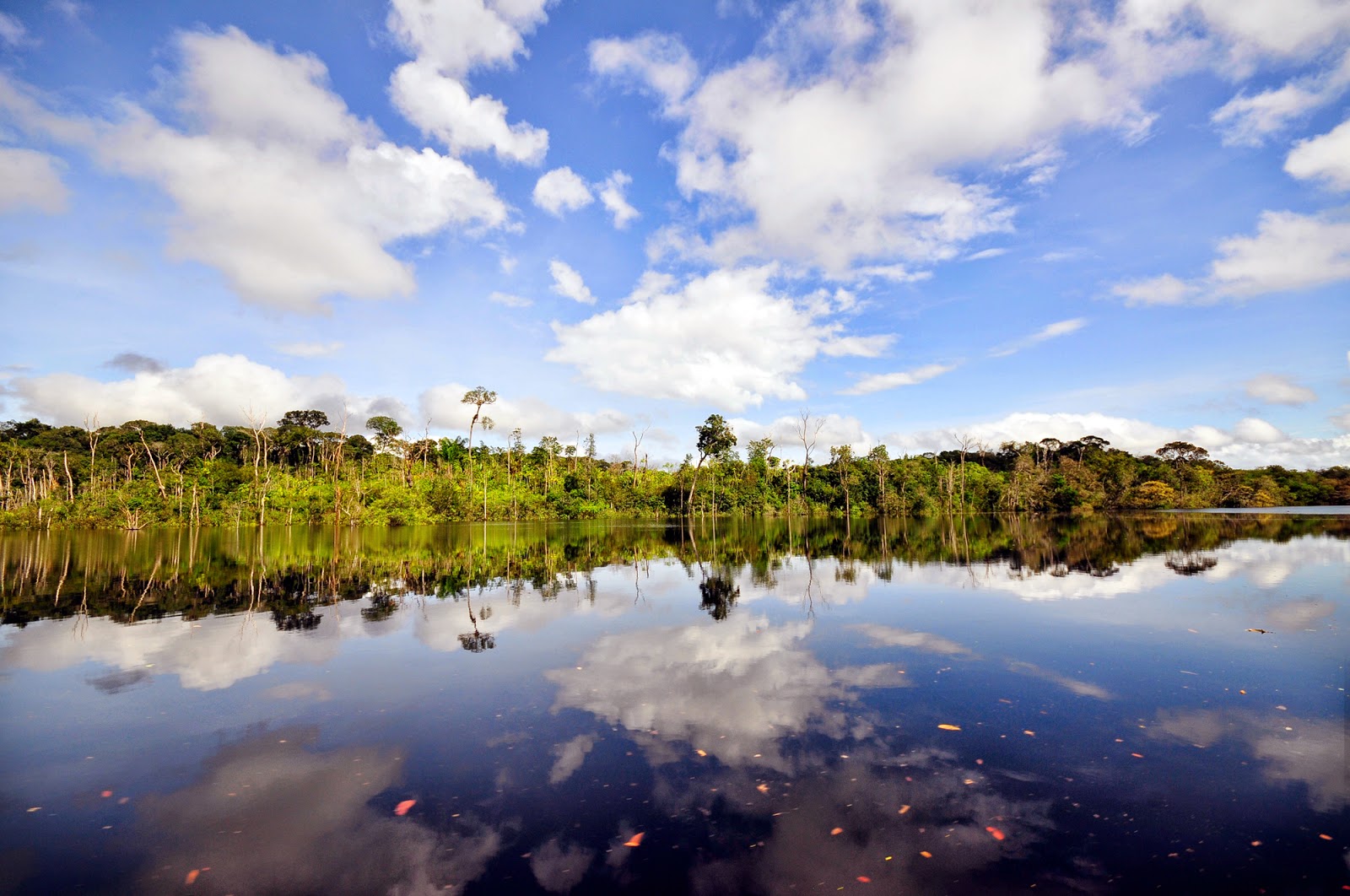 Alternativas Sustentáveis para o Desenvolvimento da Amazônia