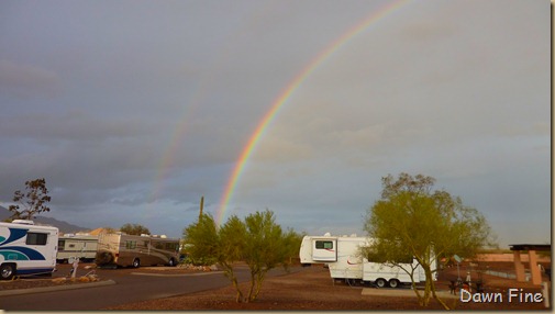 RAINBOW PICACHO_005