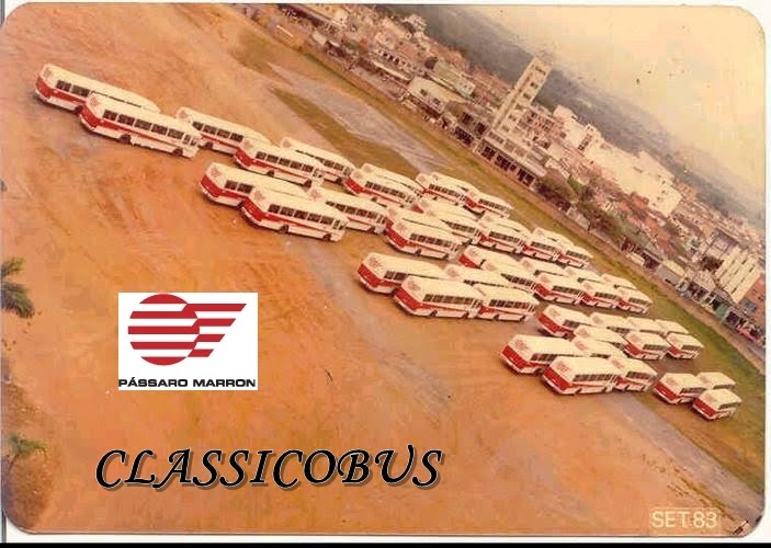 CLASSICOBUS