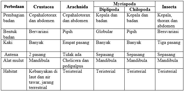 Apa yang Dimaksud Filum Arthropoda ? Karakteristik, Ciri Morfologi, Anatomi dan Fisiologin !