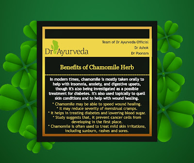 Health benefits of Chamomile Herb by Dr Ayurveda