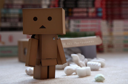  with an action figure recently it's from Japan it's called Danboard