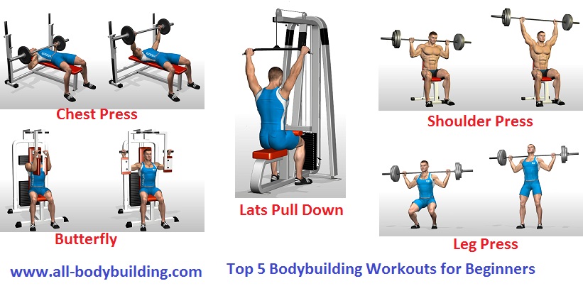 Top 5 Bodybuilding Workouts for Beginners ~ multiple fitness