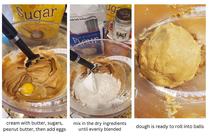 peanut butter cookie raw batter