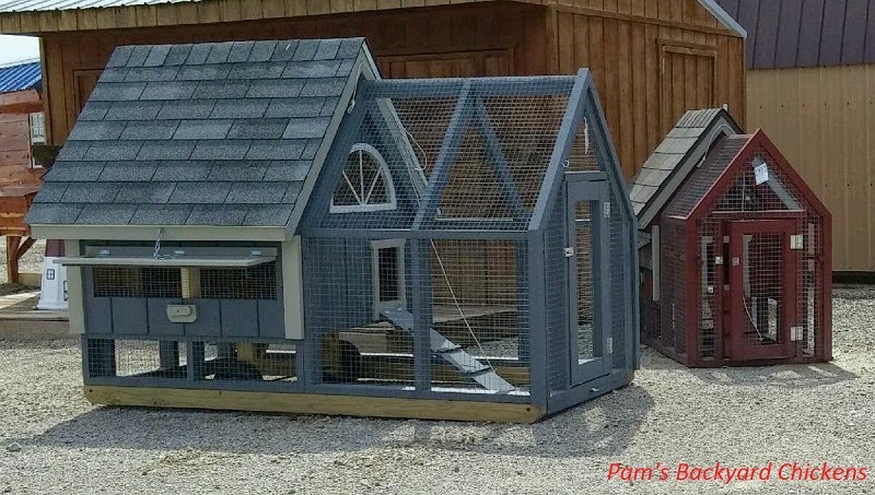 Pam's Backyard Chickens: Four Pre-Made Chicken Coop Options