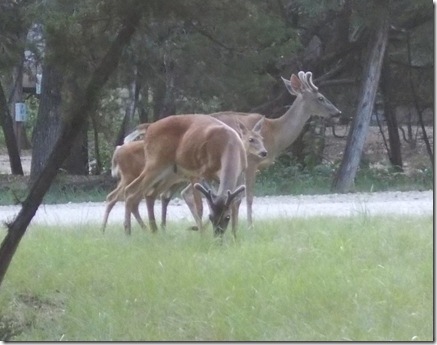 FIRST DAY NEAR SAN ANTON 010