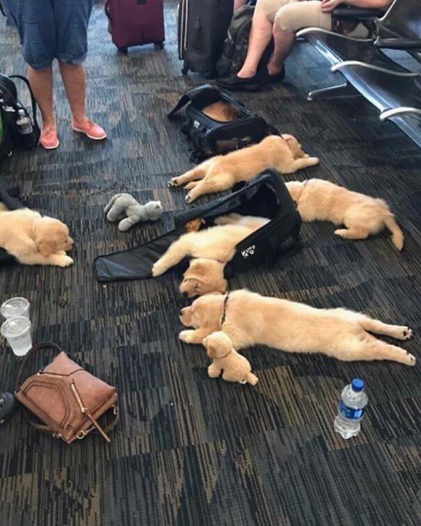 20 Times People In Airports Had To Look Twice To Realize What's Happening