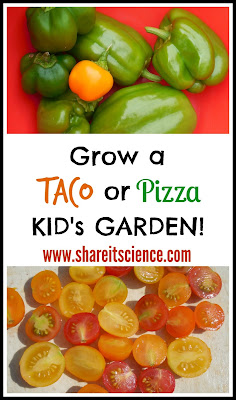 Grow a Taco or Pizza Garden gardening with kids theme gardens