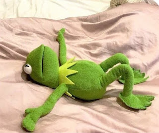 KERMIT THE FROG LYING ON BED