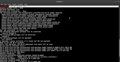 Install Tools BinGoo Dork Scanner di Kali Linux