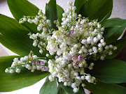 Voici mon second gros bouquet de Muguet avec quelques brins de muguet rose. (dscf )