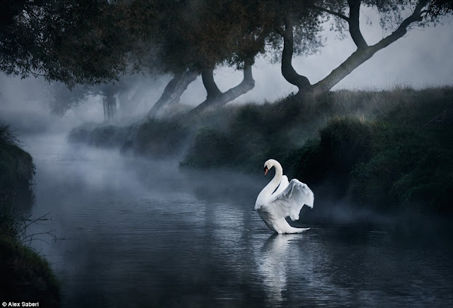 Amazing Beauty of Britain's Landscapes