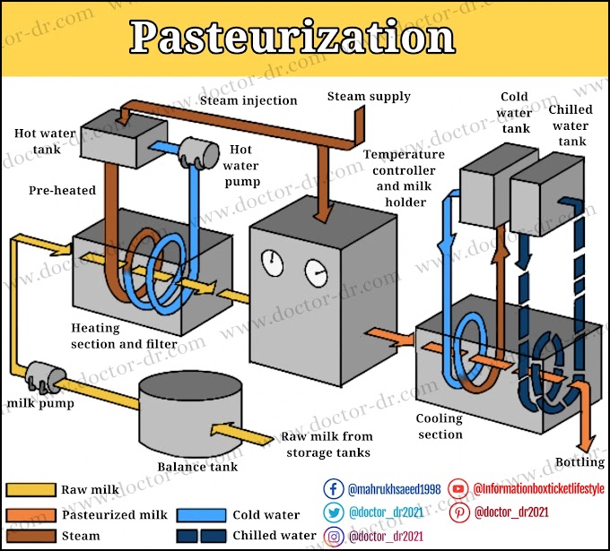 Pasteurization: Definition, Types, Process, Comparison, and Uses