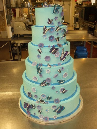 White three tier cake with blue butterflies