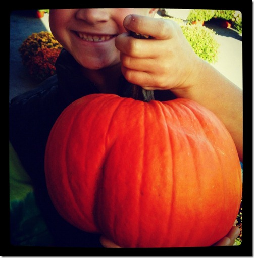 pumpkin patch 2