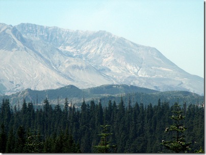 Links to Mt St Helens Pix! (Mt St Helens from Bear Meadow Lookout)