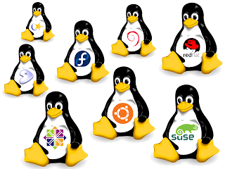 Jenis Partisi Dalam Linux