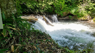 清里町「さくらの滝」