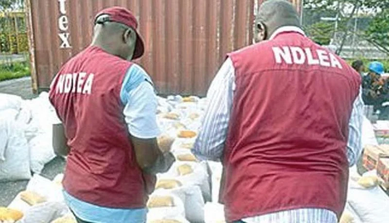 NDLEA busts three syndicates in Lagos, arrests drug baroness, four kingpins