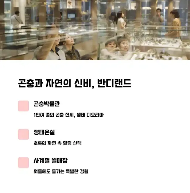 곤충과 자연의 신비, 무주 반디랜드 탐방