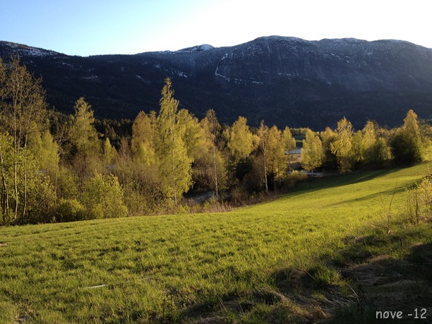 Kolsrud 032