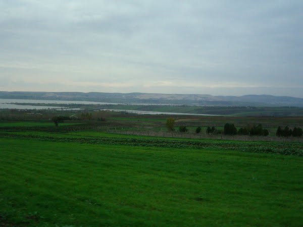 A farm field outside Istanbul in December.