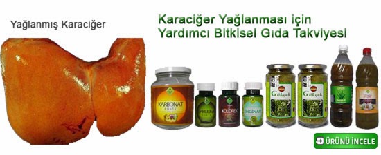 karaciğer yağlanması