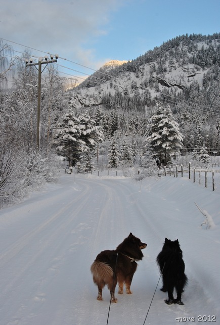 Winter 018