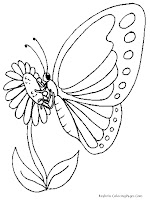 Butterfly And Sun Flower Coloring Pages Realistic