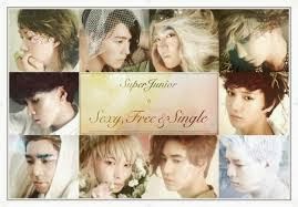 Lirik Terjemahan Super Junior - Sexy Free & Single (Indonesia Translate)