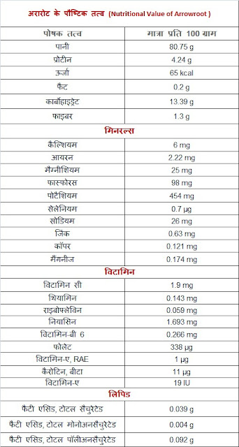 अरारोट पाउडर के फायदे, नुकसान, उपयोग और औषधीय गुण