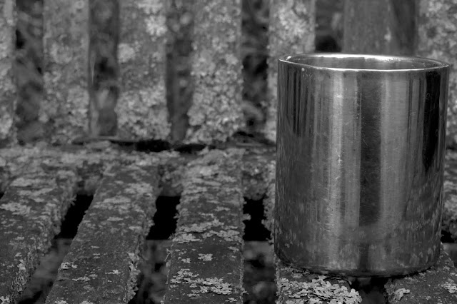 cup in a bench lichen