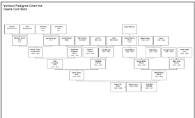 Climbing My Family Tree: Vertical Pedigree Chart for Owen Carl Henn (1906-1988)