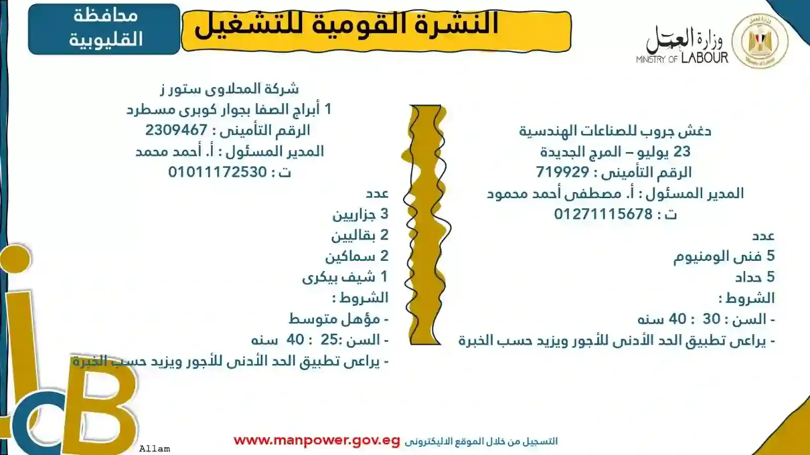 وظائف وزارة العمل بالقليوبية