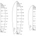 Surfboard Size Chart Fish