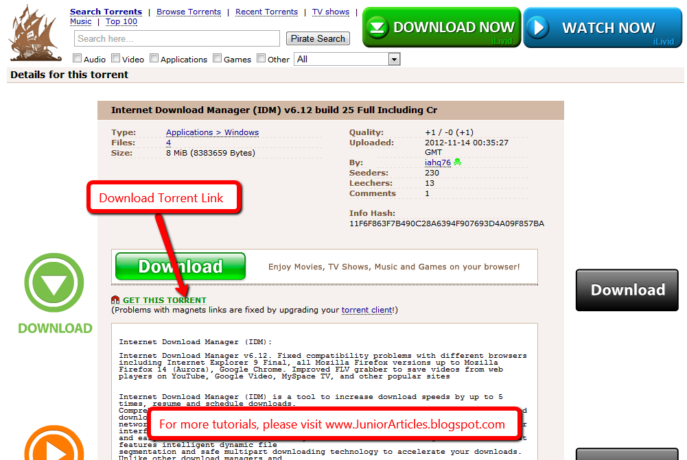 How to Download Torrent / How Torrent Works (Category