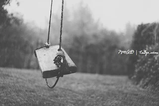 صور عرض 
