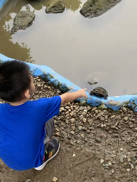 Playing with turtles at the Paradizoo Theme Farm