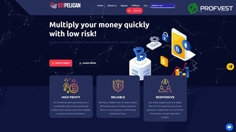 BitPelican обзор и отзывы HYIP-проекта