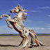 Wonderful Sculptures Made From Driftwood