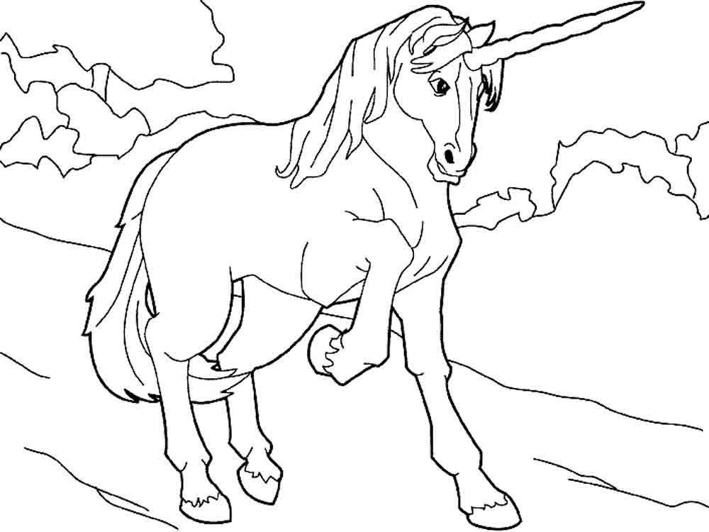  Mewarnai  Gambar  Unicorn 